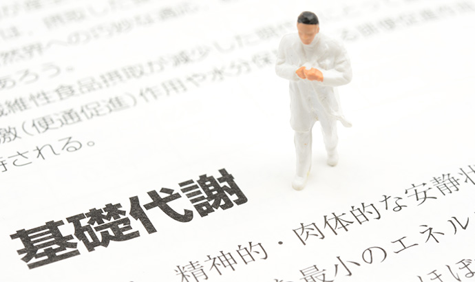 代謝が向上するから