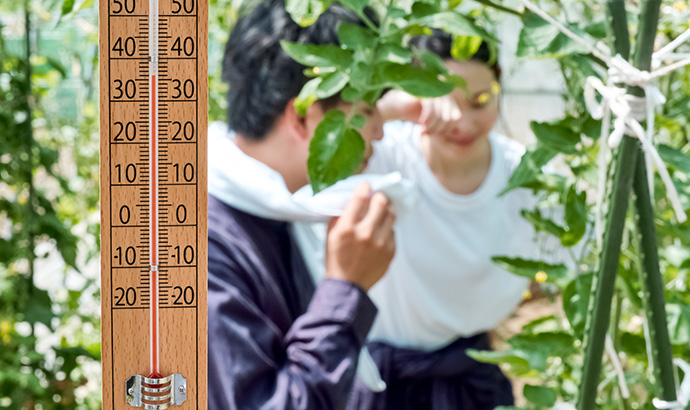 熱中症はどのように起こるのか