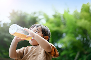 水分補給にお茶はダメと言われる理由は?水分補給に適したお茶を紹介