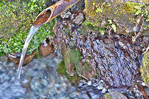 湧き水は飲んでいいの?安全に飲める方法や注意すべき点について解説