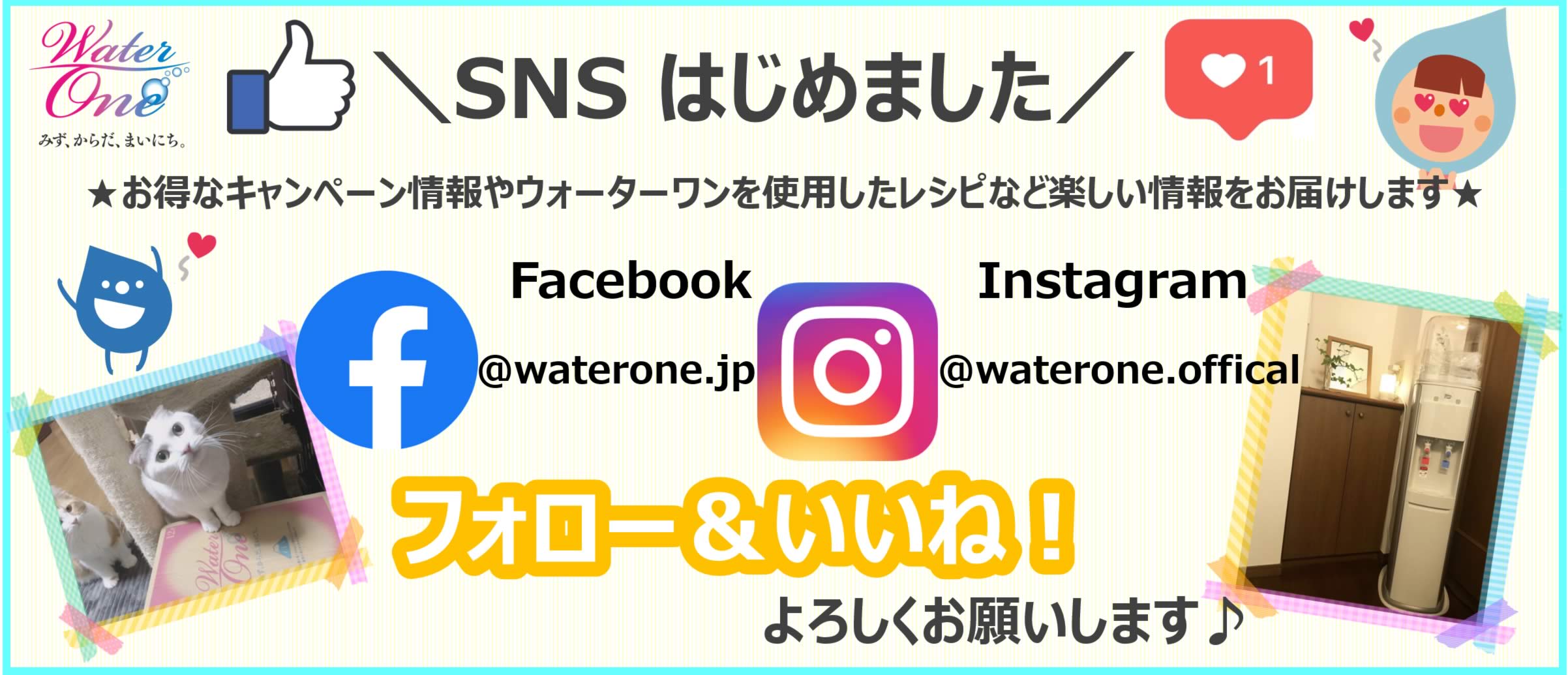 Facebook & Instagram